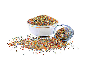 Bajra