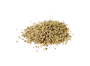 Guar Seed 10 MT