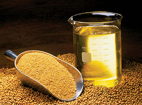 Hipro Soybean Meal*
